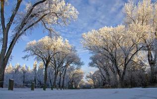 gelo invernale saskatchewan foto