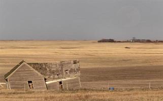 agricoltura rurale della prateria foto