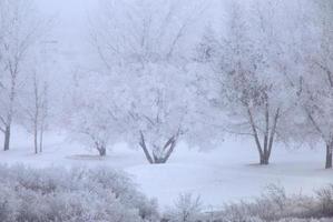 gelo invernale saskatchewan foto