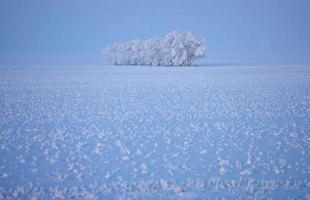 gelo invernale saskatchewan foto