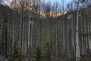 montagne rocciose autunno inverno foto