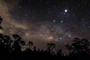 paesaggio notturno con nuvola stellata galassia via lattea luce cielo notturno e silhouette albero di pino nella foresta foto