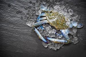 granchio di frutti di mare su ghiaccio fresco crudo blu nuoto granchio oceano gourmet con ghiaccio su oscurità foto