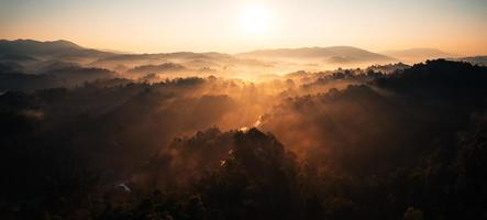 nebbia mattutina dorata nella foresta foto