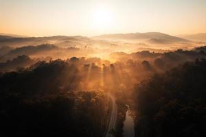 nebbia mattutina dorata nella foresta foto