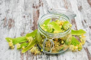 vaso con fiori di tiglio foto