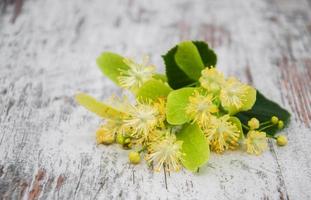 fiori di tiglio sul tavolo foto