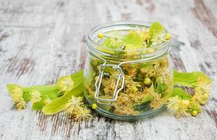 vaso con fiori di tiglio foto