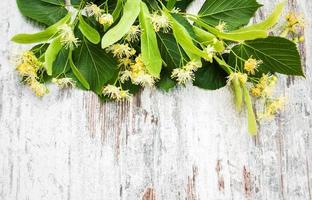 fiori di tiglio sul tavolo foto