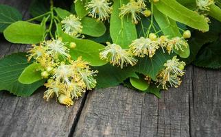 fiori di tiglio sul tavolo foto