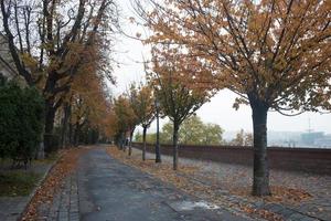 passeggiata urbana lungo il fiume in autunno a budapest. Ungheria foto