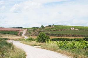 bellissimo paesaggio intorno al camino in primavera. la rioja, spagna foto