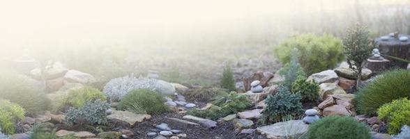 progettazione del paesaggio del giardino foto