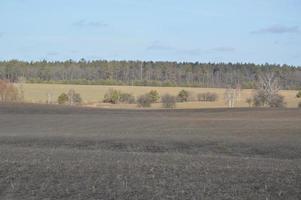 panorama del campo agricolo in inverno foto