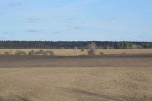 panorama del campo agricolo in inverno foto