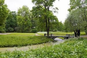 ponte di pietra con un arco sul torrente nel parco estivo. foto