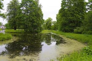 vista di un piccolo fiume con acqua in fiore. foto