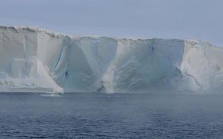 antartide campi di ghiaccio infiniti iceberg nel mare foto