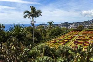 funchal, portogallo, 13 febbraio 2020 - dettaglio del giardino botanico di madeira a fuchal, portogallo. giardino aperto al pubblico nel 1960 e conta più di 345.000 visitatori all'anno. foto