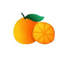 illustrazione di frutta arancione foto