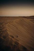 duna di sabbia della collina del deserto foto