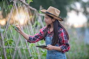 donne asiatiche agronomi e agricoltori che utilizzano la tecnologia per l'ispezione nel campo agricolo e ortofrutticolo biologico foto