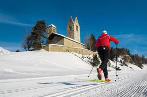 pelle nordica svizzera foto