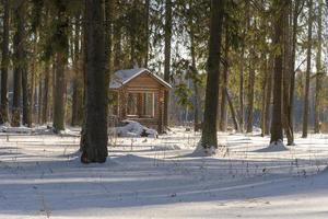 gazebo in legno nel bosco in una soleggiata giornata invernale. foto