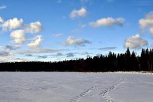 inverno a manitoba - un sentiero su un lago innevato foto