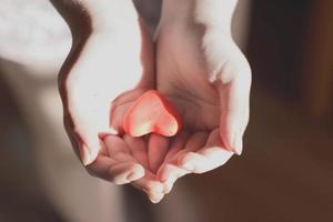 mani che tengono cuore rosso, assistenza sanitaria, amore, donazione di organi, giornata mondiale del cuore, giornata mondiale della salute, giornata nazionale del donatore di organi foto