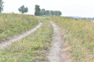 fiume e montagna con alberi nel campo della steppa foto