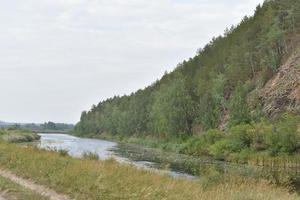 fiume e montagna con alberi nel campo della steppa foto