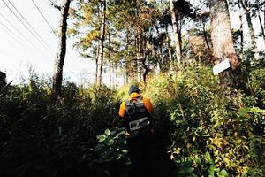 escursioni in montagna la sera foto