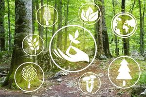 eco logo e foresta, prenditi cura della foresta ci porta aria pulita. foto