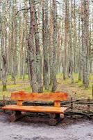 panca in legno fatta di tronchi e collocata nel bosco foto