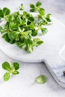 sfondo con insalata di campo fresca verde foto