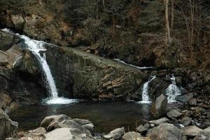 piccola cascata tra le rocce e la foresta. bellissimo paesaggio di montagna. copia, spazio vuoto per il testo foto