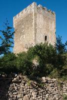 antica torre in pietra con piccola finestra. cielo blu, niente persone, alberi intorno e muro di cinta. merindades, burgos, spagna foto