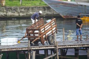 Sorong, Papua occidentale, Indonesia, 30 settembre 2021. pescatore che scarica i pesci dal carrello dei pesci foto