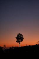 silhouette albero solitario sul picco di montagna la sera foto