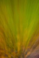 sfondo verticale nei toni del marrone verde. gradiente dinamico con sfocatura morbida. sfondo astratto. foto