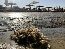 bellissimo paesaggio marino sul mare blu all'aria aperta con sabbia gialla foto