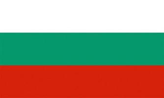 bandiera bulgara testurizzata della bulgaria foto
