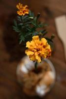 vaso di fiori di calendula sul tavolo di legno foto