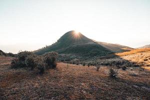 luce del mattino e montagne, montagne in estate fiori mattutini e primaverili foto