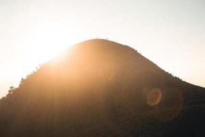 luce del mattino e montagne, montagne in estate fiori mattutini e primaverili foto