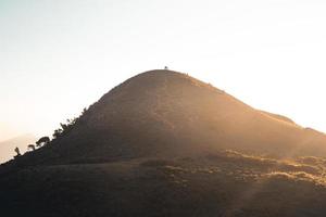 luce del mattino e montagne, montagne in estate fiori mattutini e primaverili foto