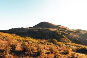 luce del mattino e montagne, montagne in estate fiori mattutini e primaverili foto