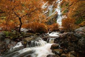 bella cascata nella foresta del parco nazionale alla cascata di khlong lan, kamphaeng phet thailand foto