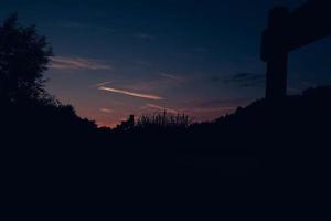 silhouette di alberi ed erba su uno sfondo di cielo al tramonto foto